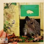 고슴도치 공공도로(Hedgehog Highway)가 설치된 울타리 디자인 카드 - 세희의 영국 일기장 - Sehee in the World