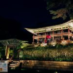 창덕궁 달빛기행: 왕가의 산책 - Sehee in the World