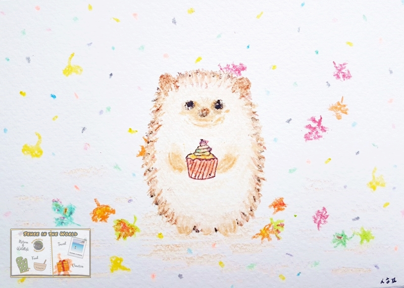 DIY 선물 아이디어 - 손그림 생일 카드: 컵 케이크를 든 고슴도치 - Sehee in the World
