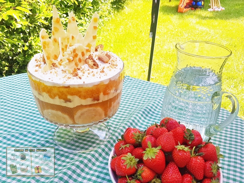 DIY 선물 아이디어 - 직접 만든 트라이플(trifle) 위에 올린 커스텀 고슴도치 화이트 초콜릿 바크(bark) 장식 - Sehee in the World